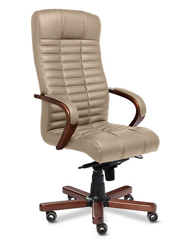 фото кресло Atlant A №5