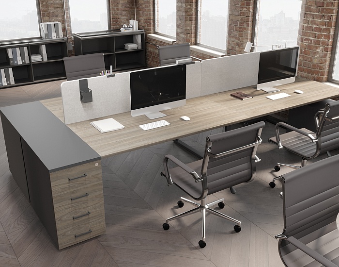 фото мебель Проджект Вяз					 №3					