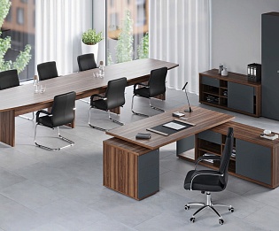 фото кабинет Zion  №5