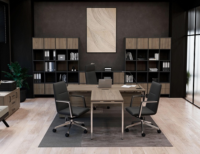 фото кабинет Project Lux Elm №2