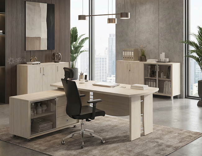 фото кабинет Борн Шамони №2