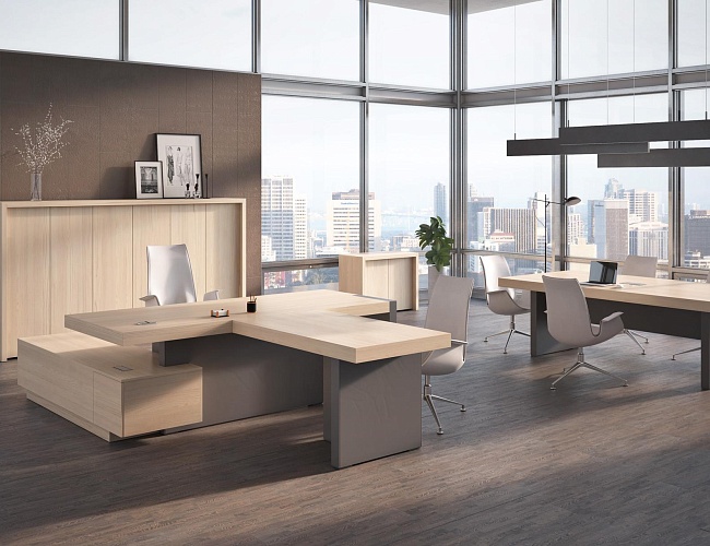 фото кабинет руководителя Era №2