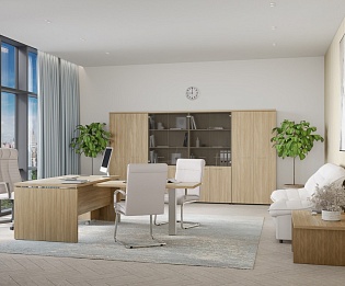 фото кабинет Патриот +  №3