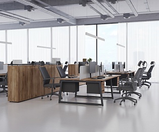 фото мебель Project Dub T1  №4