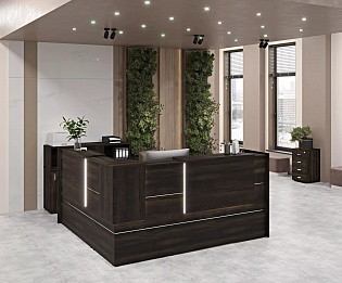 фото ресепшн Onix Mali  №4