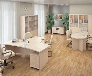 фото кабинет First Maple  №4