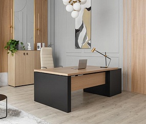 кабинет Ренц Лайт