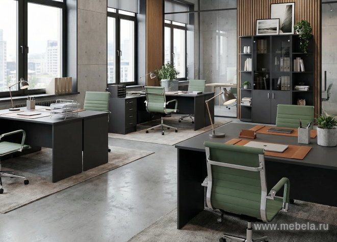 мебель Рива Антрацит