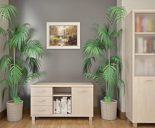 фото кабинет First Maple  №5