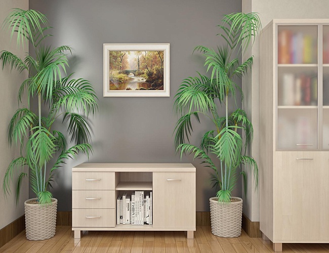 фото кабинет First Maple №5