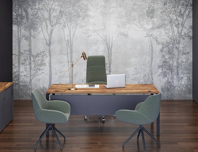 фото мебель Smart №4