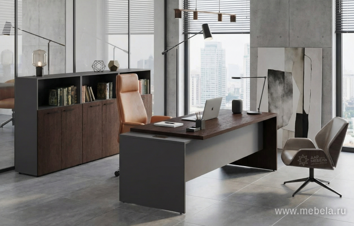 кабинет Кортез Венге