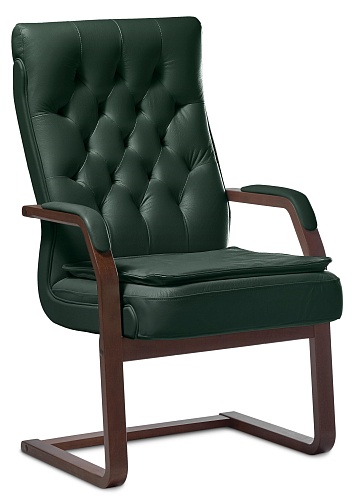 фото кресло Darwin C (с подушкой) №3