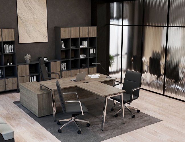 фото кабинет Project Lux Elm №5