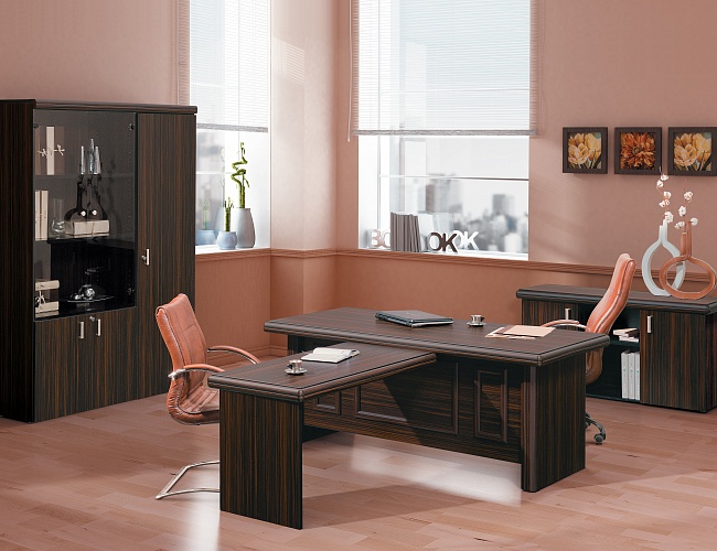 фото кабинет Milano №2