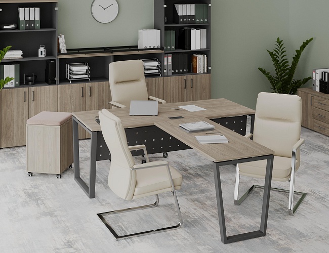 фото кабинет Project Elm T