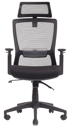 фото кресло RV-W-202 №2