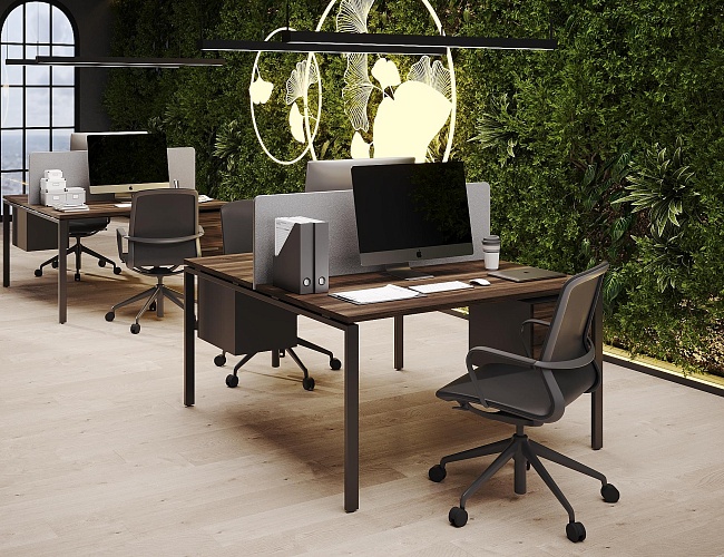 фото мебель Concept