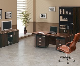 фото кабинет Milano  №4