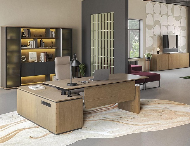 фото Кабинет руководителя Ион №2