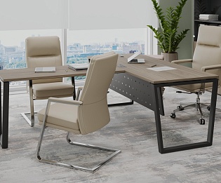 фото кабинет Project Elm T  №3