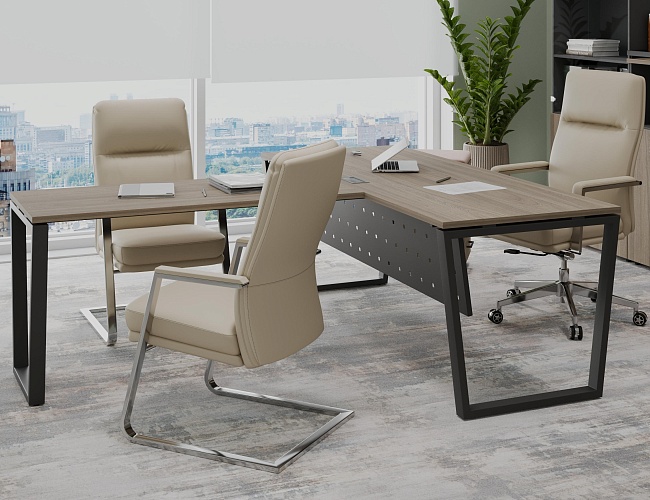 фото кабинет Project Elm T №3