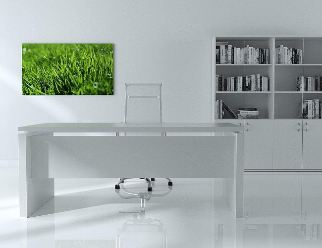 фото кабинет Steel Evo White №4