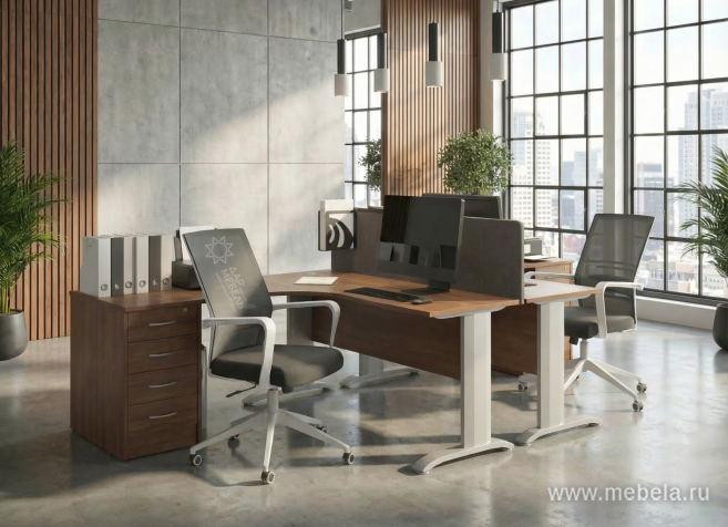 Офисная мебель Riva