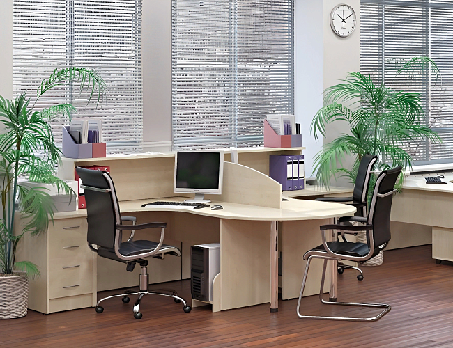 фото мебель Riva Клен №2