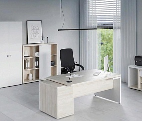 кабинет Зион Шамони