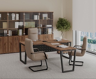 фото кабинет Project Dub T 