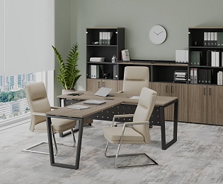 фото кабинет Project Elm T  №2