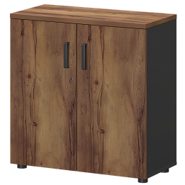 Офисный шкаф для документов низкий закрытый