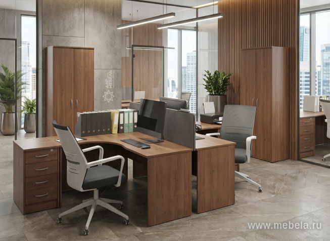 Офисная мебель Riva