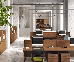 фото офисная мебель Дин-Р  №5