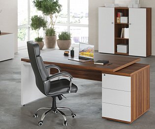 фото кабинет Zion  №3