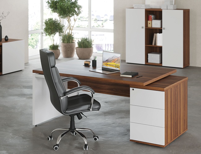 фото кабинет Zion №3