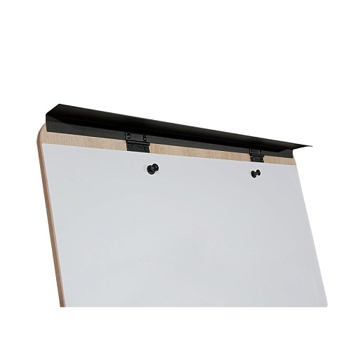 фото Флипчарт DR-1941736 №4