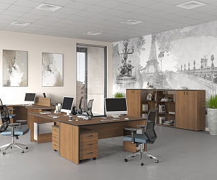 фото офисная мебель Дин-Р  №2