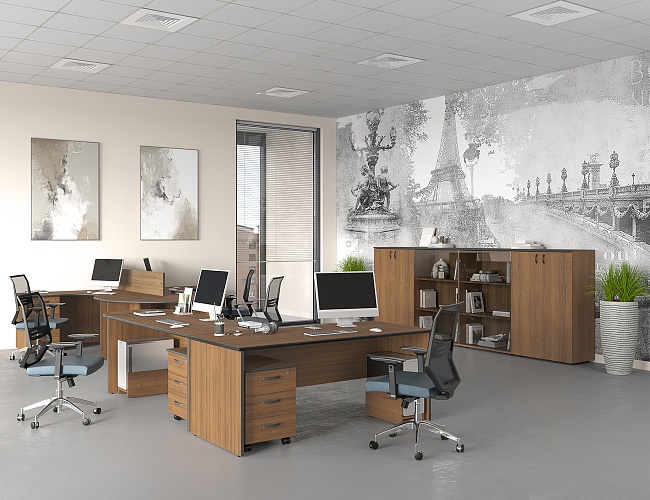 фото офисная мебель Дин-Р №2
